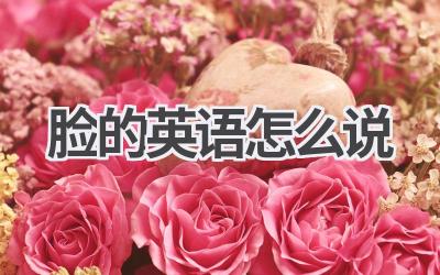 脸的英语怎么说