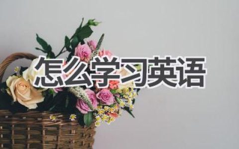 怎么学习英语