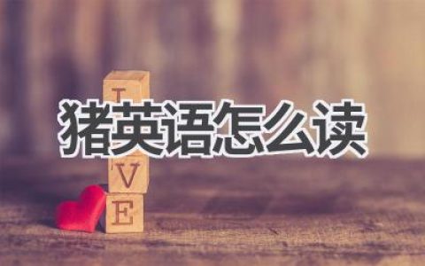 猪英语怎么读