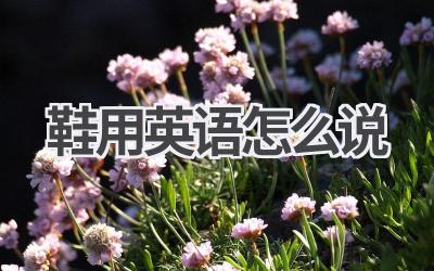 鞋用英语怎么说