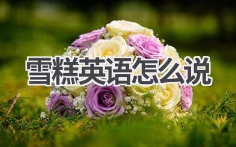 雪糕英语怎么说