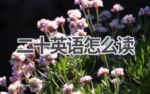 二十英语怎么读