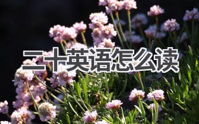 二十英语怎么读