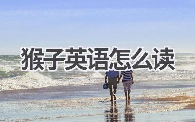 猴子英语怎么读