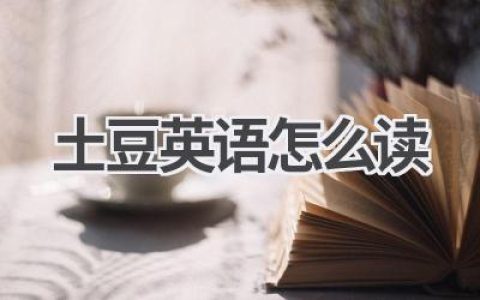 土豆英语怎么读