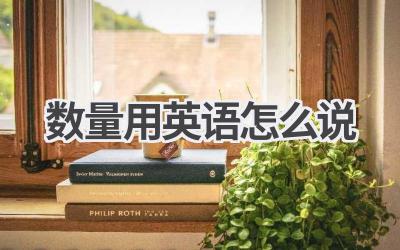 数量用英语怎么说