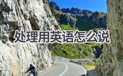 处理用英语怎么说