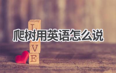 爬树用英语怎么说