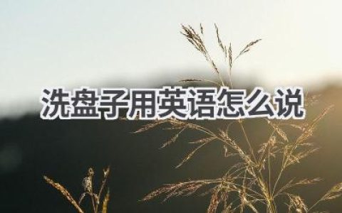 洗盘子用英语怎么说