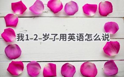 我12岁了用英语怎么说