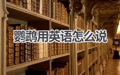 鹦鹉用英语怎么说