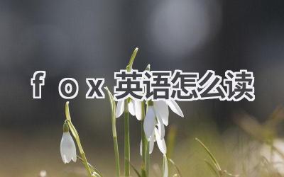 fox英语怎么读