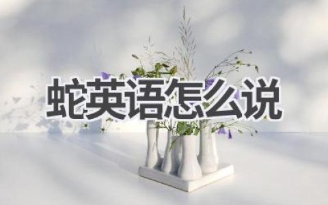 蛇英语怎么说