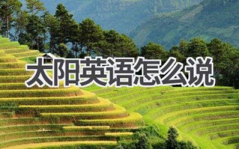 太阳英语怎么说