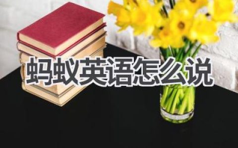 蚂蚁英语怎么说