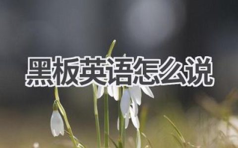 黑板英语怎么说