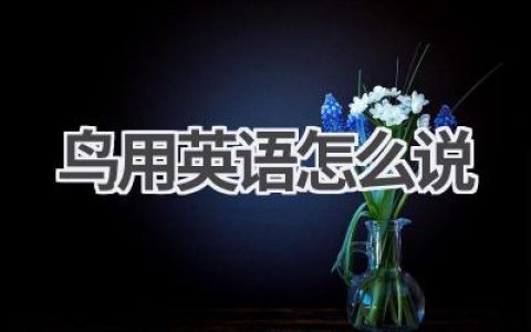 鸟用英语怎么说