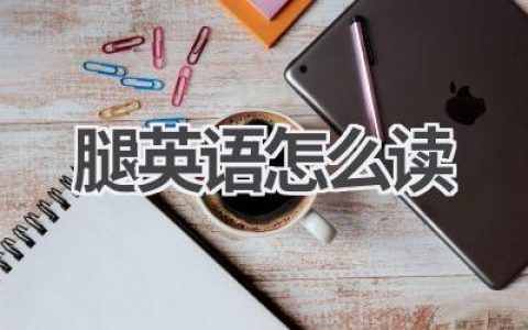 腿英语怎么读