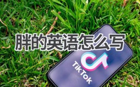 胖的英语怎么写