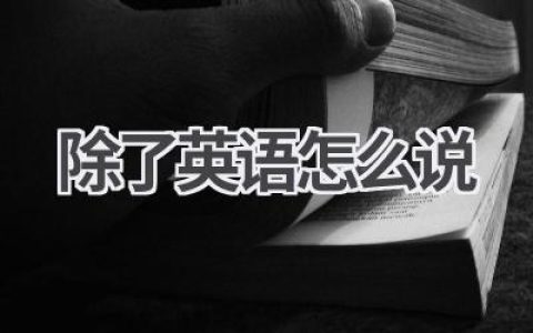 除了英语怎么说