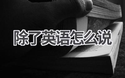 除了英语怎么说