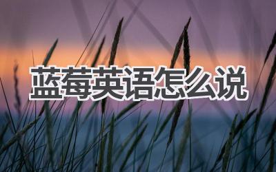 蓝莓英语怎么说
