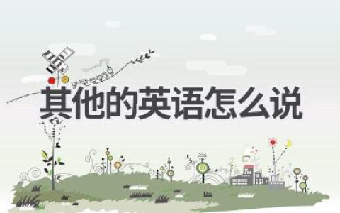 其他的英语怎么说