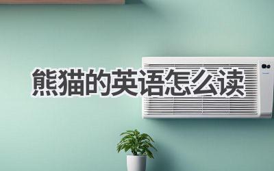 熊猫的英语怎么读