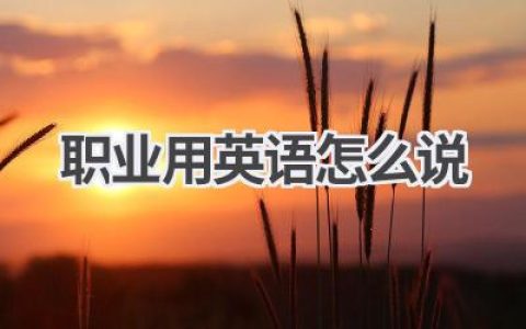 职业用英语怎么说