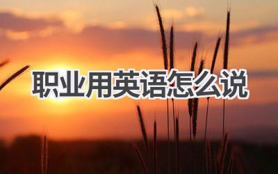 职业用英语怎么说