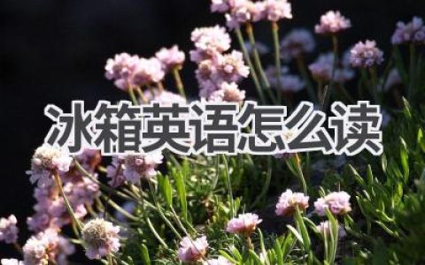 冰箱英语怎么读