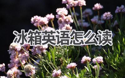 冰箱英语怎么读