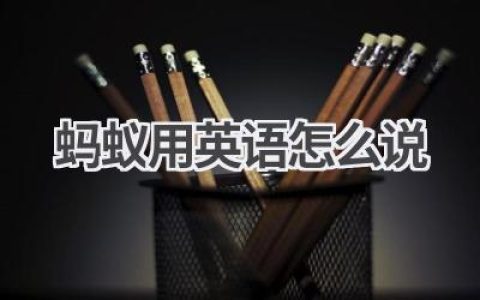 蚂蚁用英语怎么说