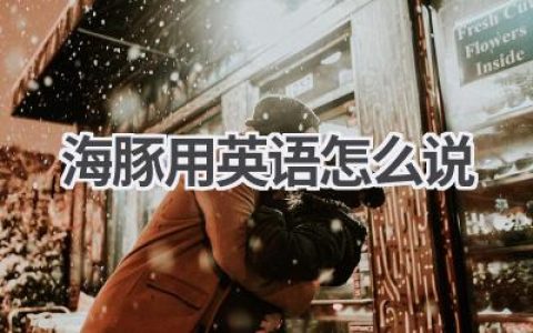 海豚用英语怎么说