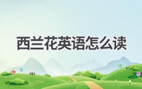 西兰花英语怎么读
