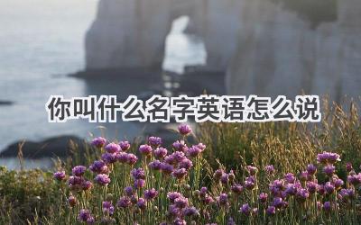 你叫什么名字英语怎么说