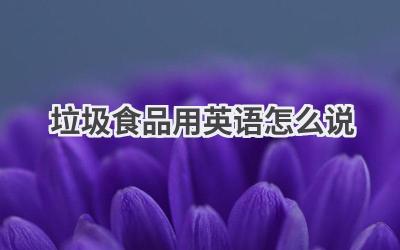 垃圾食品用英语怎么说