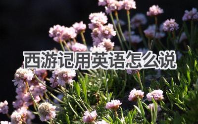 西游记用英语怎么说