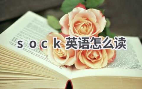 sock英语怎么读