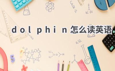 dolphin怎么读英语
