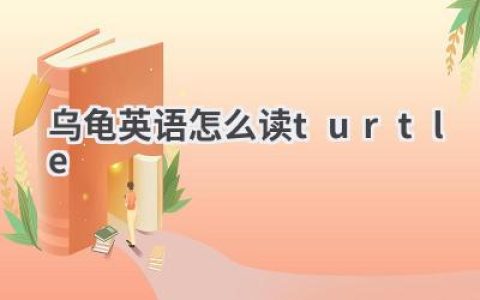 乌龟英语怎么读turtle