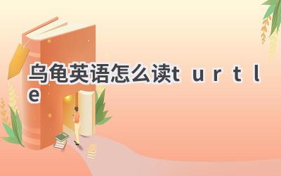 乌龟英语怎么读turtle