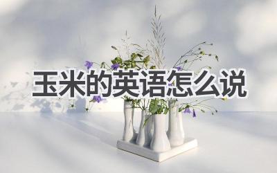 玉米的英语怎么说