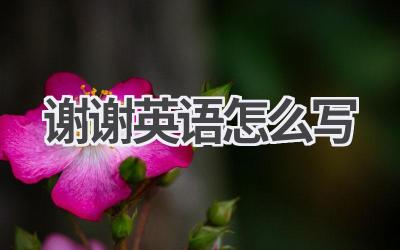 谢谢英语怎么写