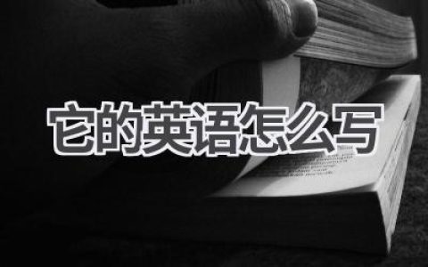 它的英语怎么写