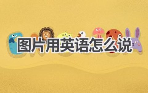 图片用英语怎么说