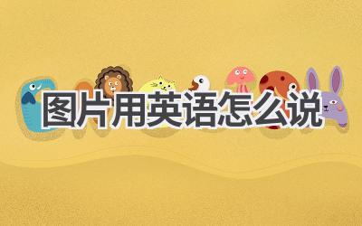 图片用英语怎么说