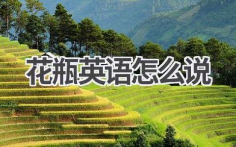 花瓶英语怎么说