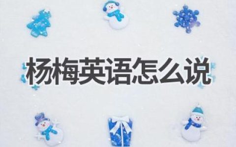 杨梅英语怎么说