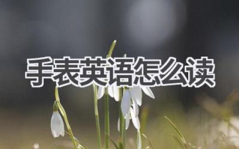 手表英语怎么读